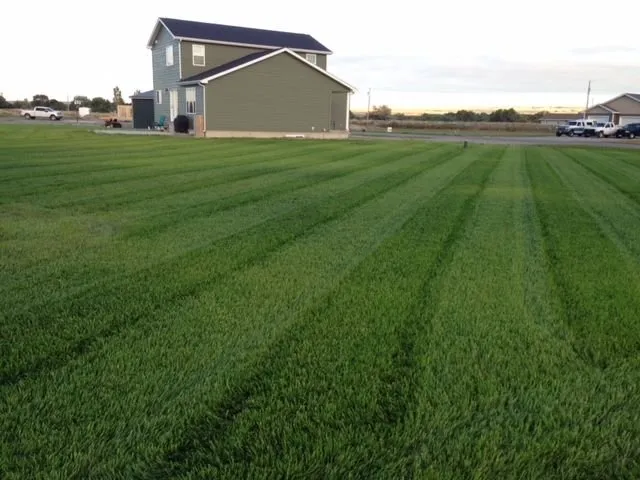 Professional yard maintenance in Columbus, MT by A-Plus Hydro Seeding