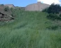 Reliable lawn care service in Columbus, MT - A-Plus Hydro Seeding