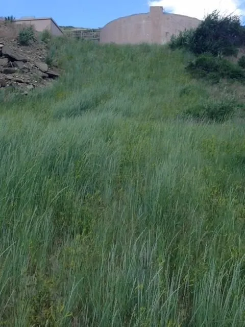 Trusted lawn care service in Columbus, MT - A-Plus Hydro Seeding