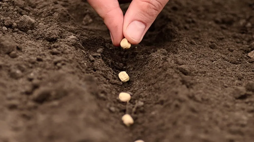 Affordable residential landscaping experts serving Park Rapids, MN - A Plus Hydroseeding