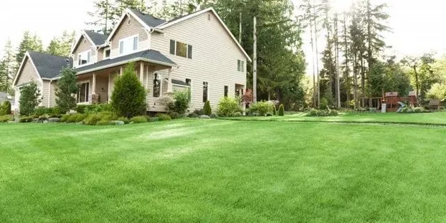 Affordable yard cleanup service in Clarksville, TN - A Plus Landcaping