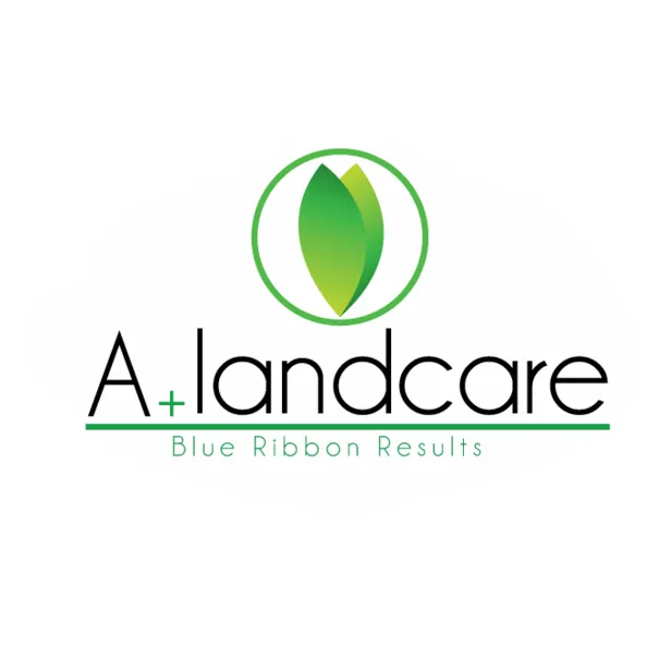 Reliable landscape installation for outdoor upgrades across Salt Lake City, UT - A Plus Landcare