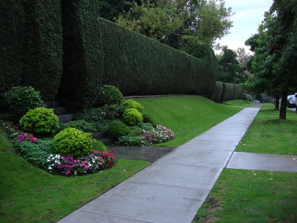 Affordable yard maintenance experts serving Salt Lake City, UT - A Plus Landcare