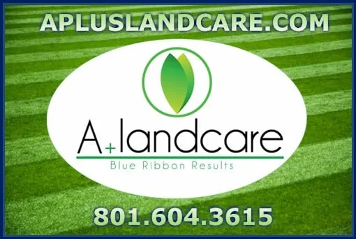 Reliable lawn care service near you in Salt Lake City, UT by A Plus Landcare