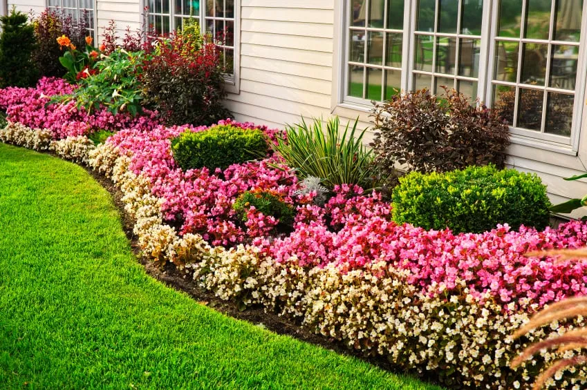 Professional lawn care service in Salt Lake City, UT - A Plus Landcare