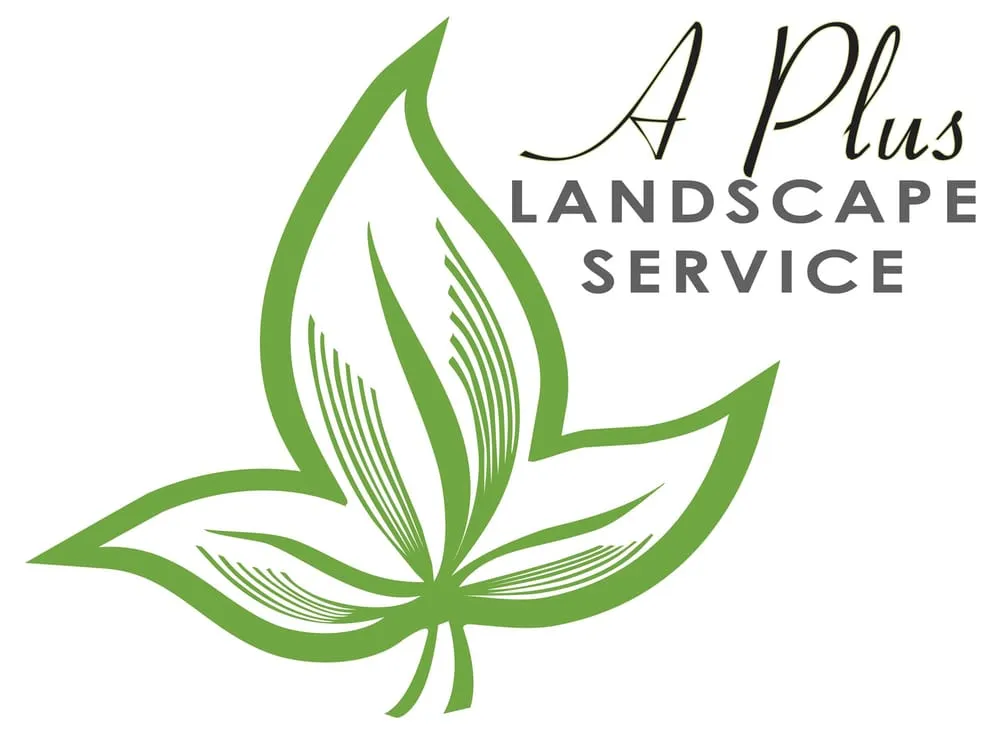 Affordable landscape design for year-round maintenance in Perris, CA by A Plus Landscape Service