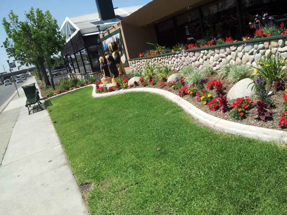 Trusted landscape design near you in Perris, CA by A Plus Landscape Service