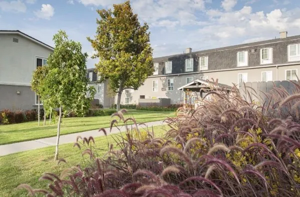 A Plus Landscape Service Logo