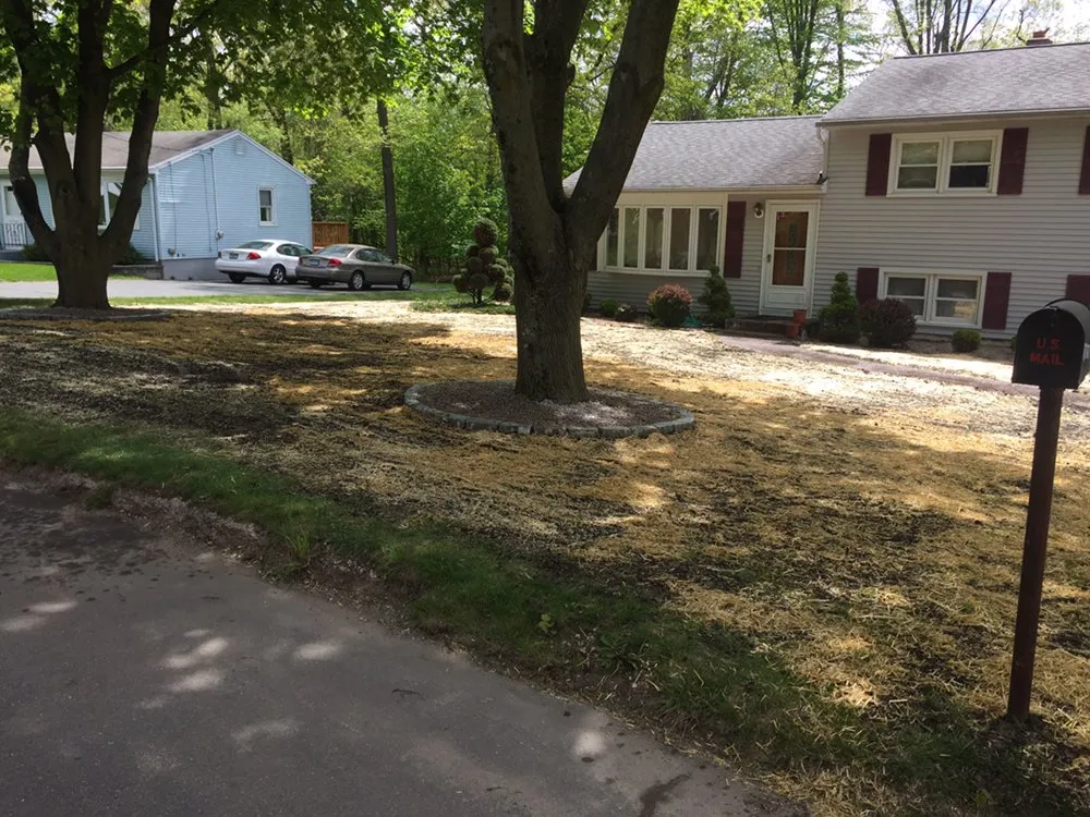 Expert landscape installation for residential properties in East Haven, CT by A-Plus Landscaping