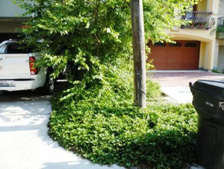 Local landscaping services experts serving Houston, TX - A Plus Landscaping