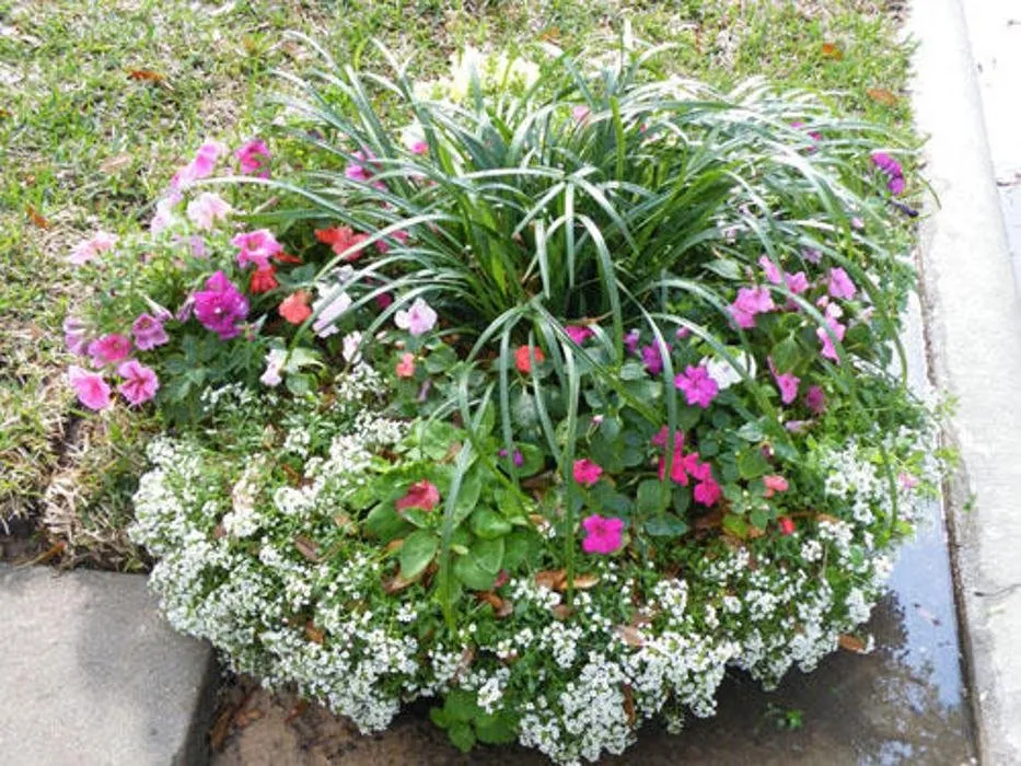 Custom outdoor landscaping experts serving Houston, TX - A Plus Landscaping