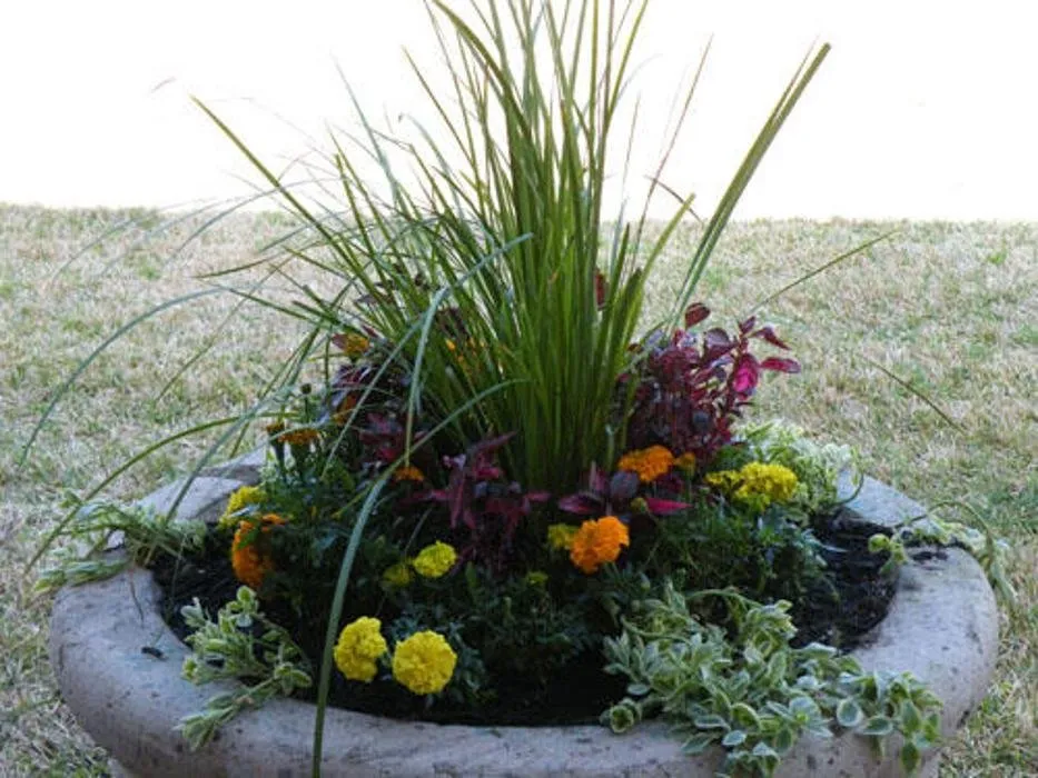 Affordable landscape design experts serving Houston, TX - A Plus Landscaping