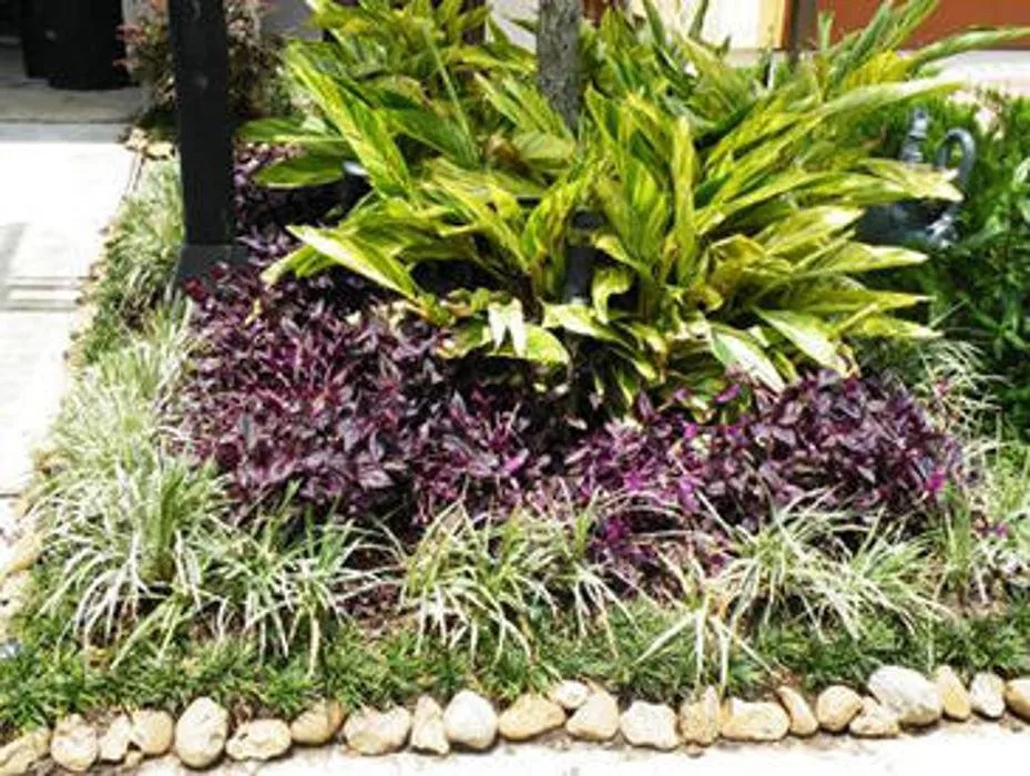 Local lawn care service in Houston, TX by A Plus Landscaping