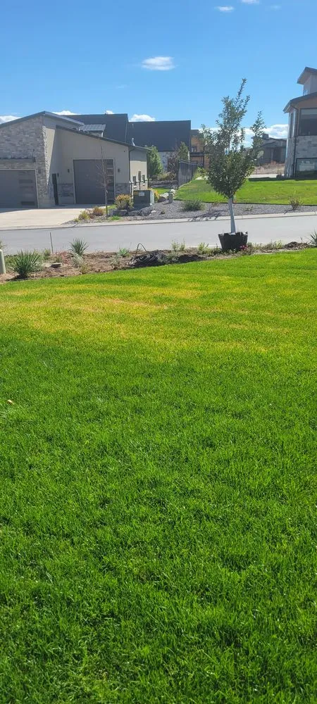 Expert landscaping services in Salt Lake City, UT by A Plus Landscaping Service