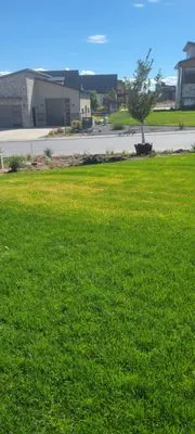 A Plus Landscaping Service Logo