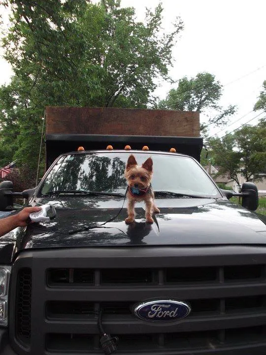 Trusted landscape installation in Hopatcong, NJ - A-Plus Landscaping Services