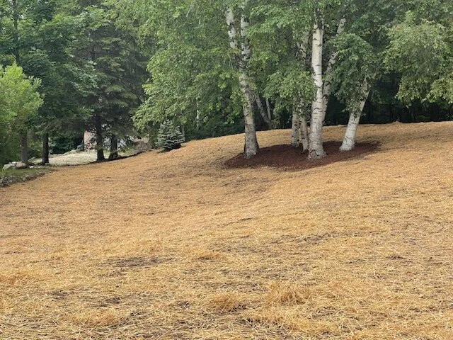 Professional landscape design near you across Saukville, WI - A-Plus Landscaping Services