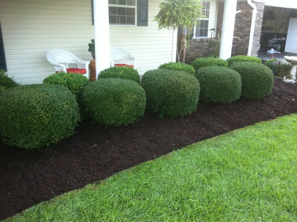 Local yard cleanup service with custom design across Meridian, MS - A Plus Lawn & Landscaping Service