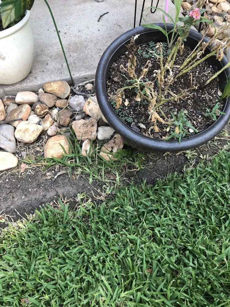 Expert lawn mowing service in Belton, TX - A Plus Lawn Care & Landscaping