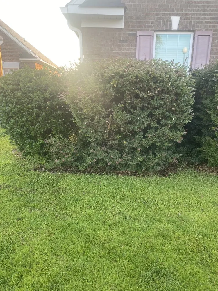 Trusted lawn care service experts serving Sumter, SC - A+ Plus Lawn Care & Pressure Washing