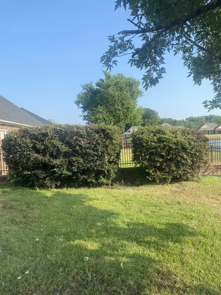 Local landscape design for outdoor upgrades in Sumter, SC by A+ Plus Lawn Care & Pressure Washing