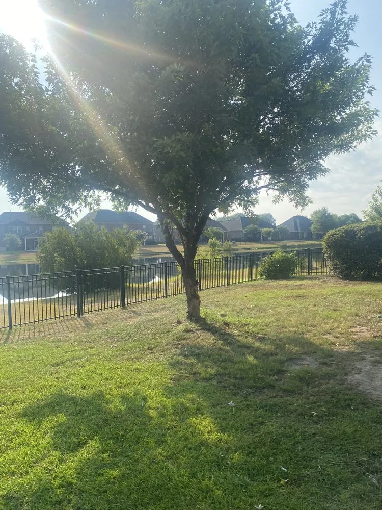 Expert landscape installation experts serving Sumter, SC - A+ Plus Lawn Care & Pressure Washing