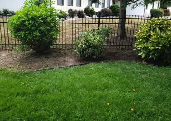 Custom lawn care service in Sumter, SC by A+ Plus Lawn Care & Pressure Washing