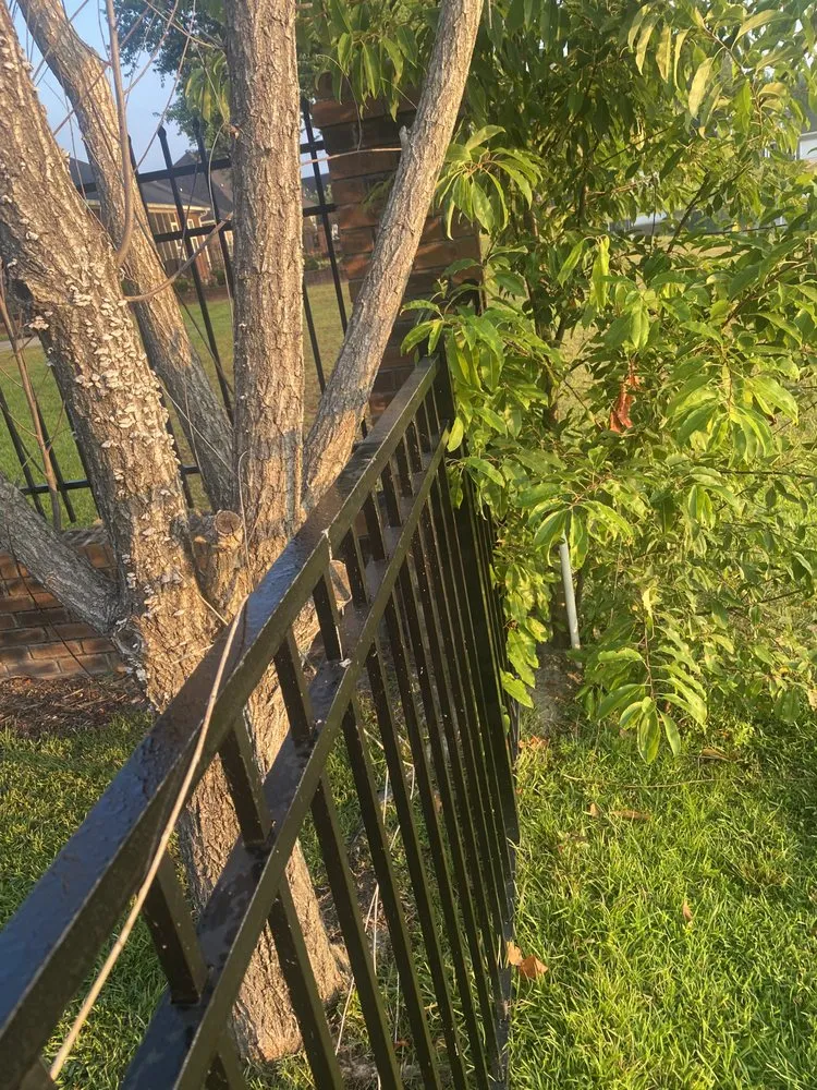 Local lawn care service for homes in Sumter, SC by A+ Plus Lawn Care & Pressure Washing