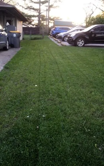 Professional garden landscaping in Sumter, SC - A+ Plus Lawn Care & Pressure Washing