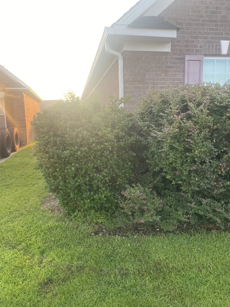 Affordable yard cleanup service for residential properties across Sumter, SC - A+ Plus Lawn Care & Pressure Washing