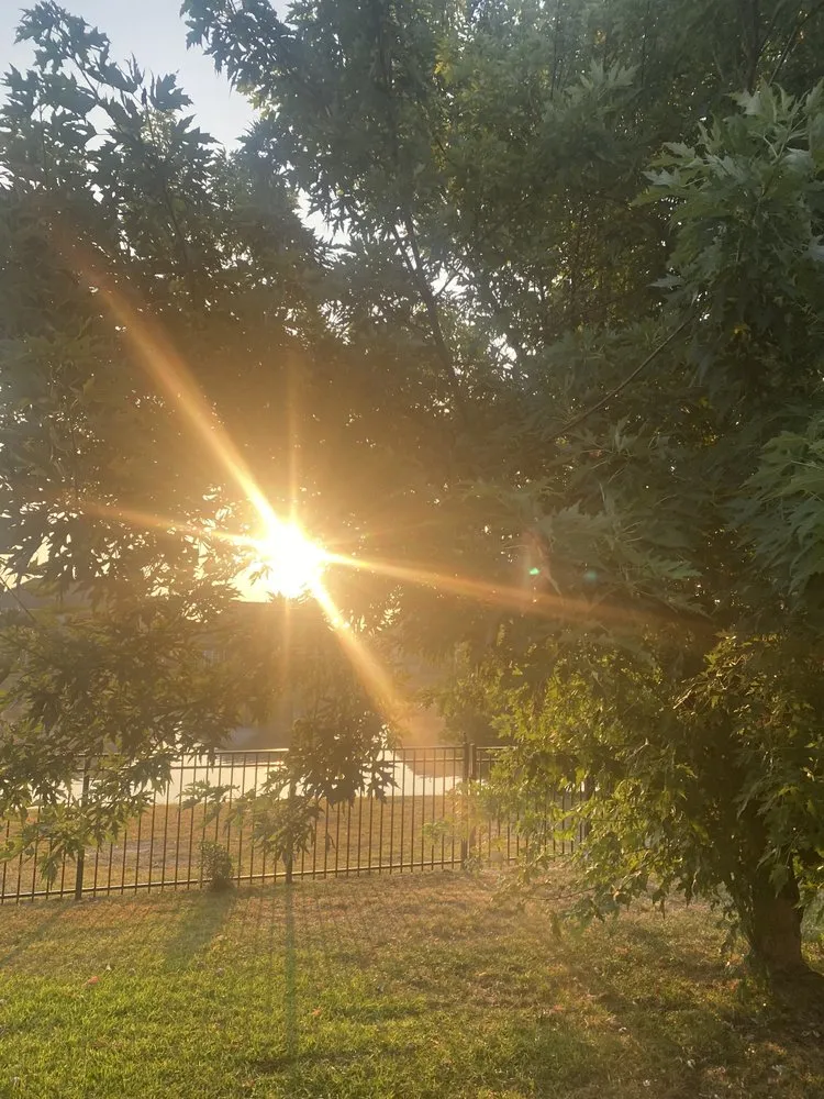 Top-rated landscape installation experts serving Sumter, SC - A+ Plus Lawn Care & Pressure Washing