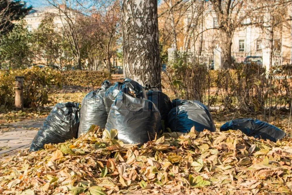 Local residential landscaping near you in Converse, TX by A Plus Lawn Care