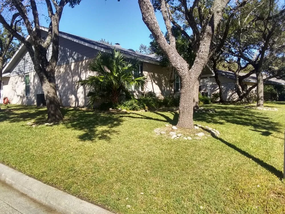 Affordable yard cleanup service experts serving Converse, TX - A Plus Lawn Care