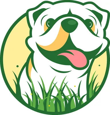 A plus Lawn Care Logo