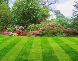 A PLUS Lawn Care Services Logo