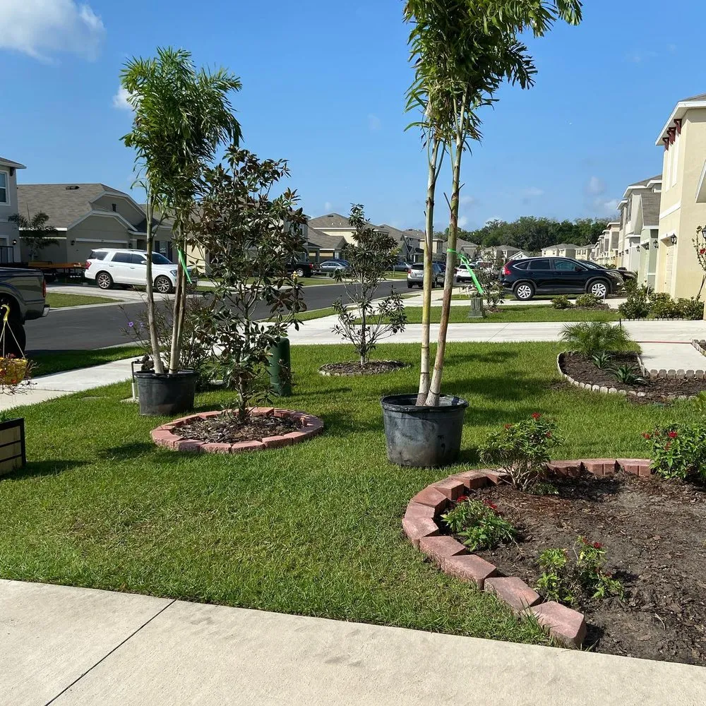 Reliable yard cleanup service in Wimauma, FL - A Plus Lawn Care Solutions
