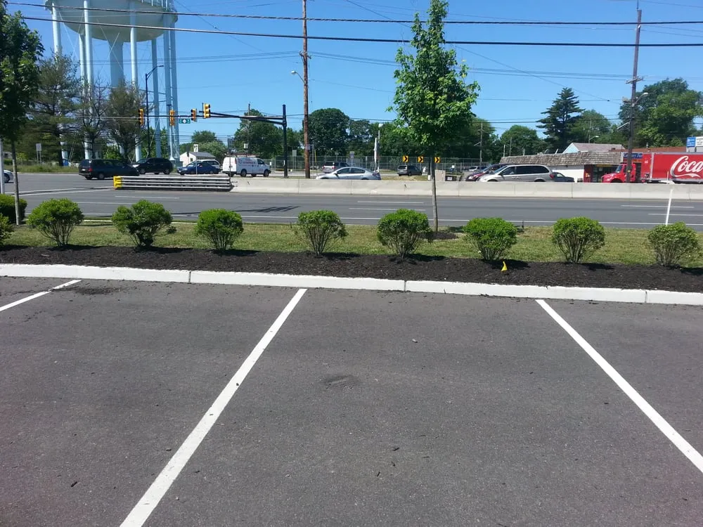 Expert landscape design in Cookstown, NJ by A Plus Lawn Service