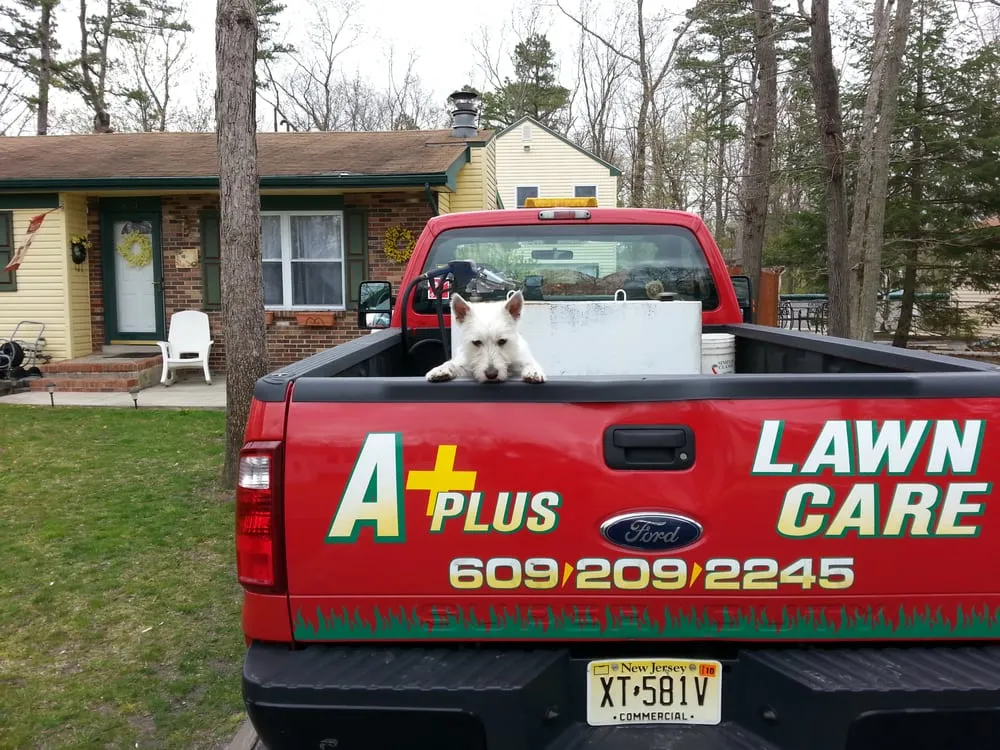 Reliable landscaping services in Cookstown, NJ - A Plus Lawn Service