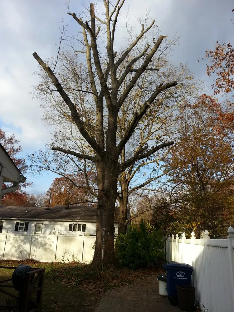 Reliable outdoor landscaping experts serving Cookstown, NJ - A Plus Lawn Service