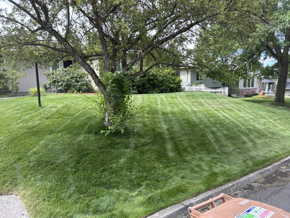 Local landscaping services near you in Spokane, WA by A Plus Lawncare and Hauling