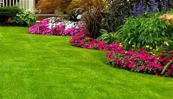 Custom landscape design experts serving Parkton, NC - A Plus Lawncare