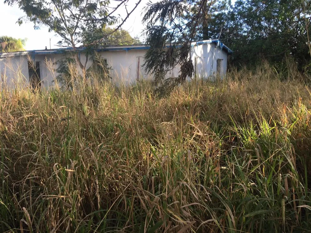 Top-rated lawn care service for outdoor upgrades in Port St. Lucie, FL by A Plus Lawns VB