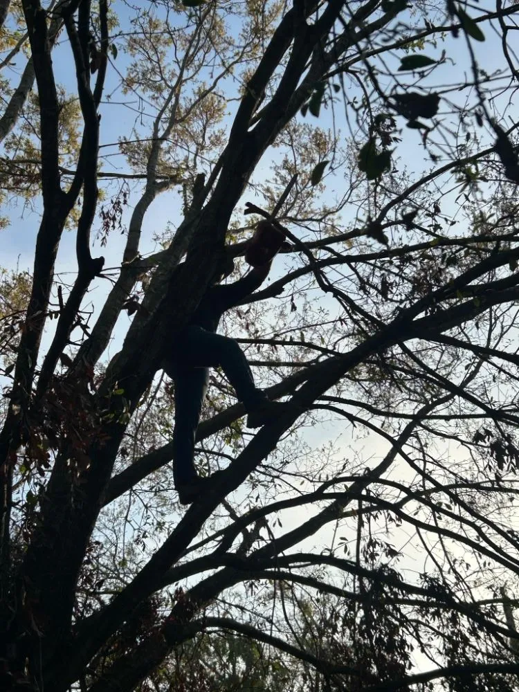 Trusted landscape design for homes across Port St. Lucie, FL - A Plus Lawns VB