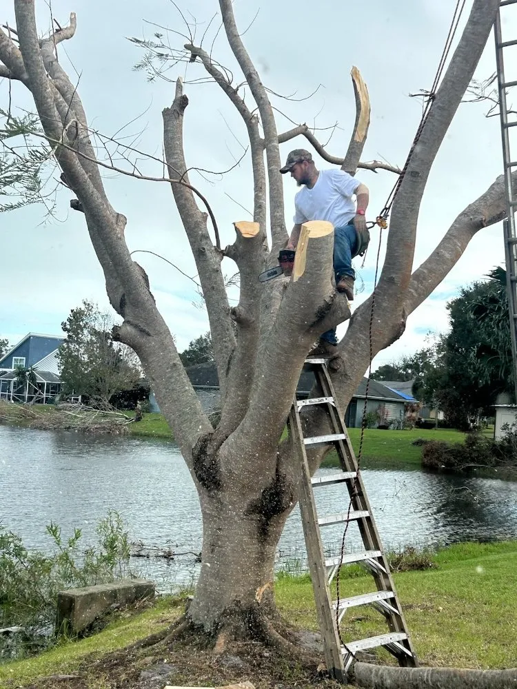 Local outdoor landscaping near you in Port St. Lucie, FL by A Plus Lawns VB