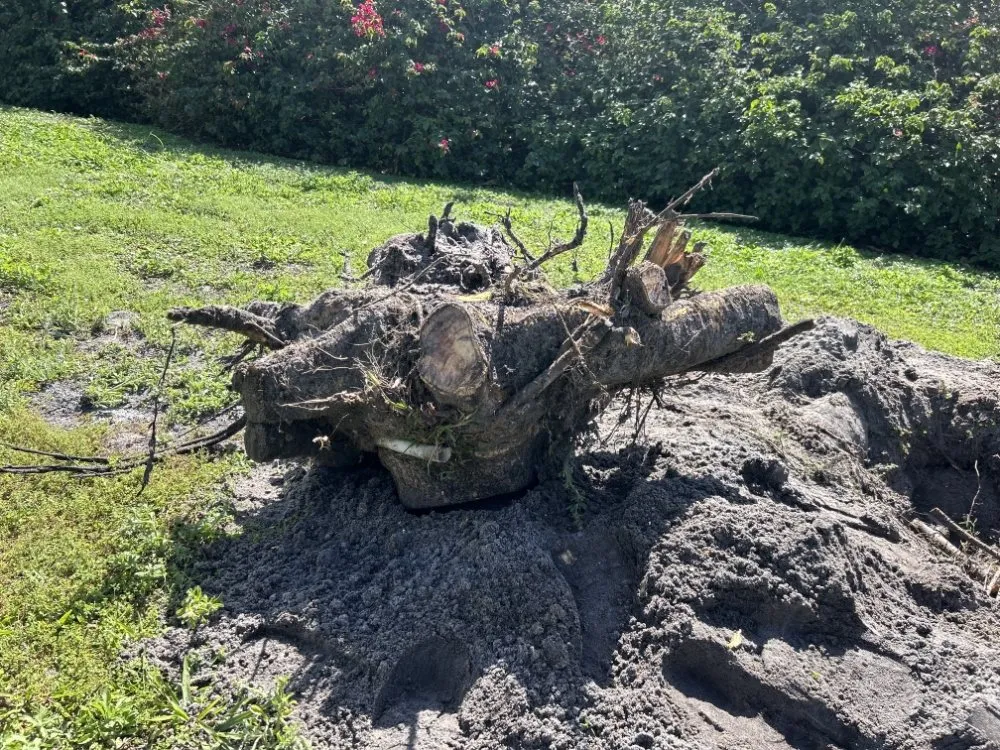 Top-rated yard cleanup service for outdoor upgrades in Port St. Lucie, FL by A Plus Lawns VB