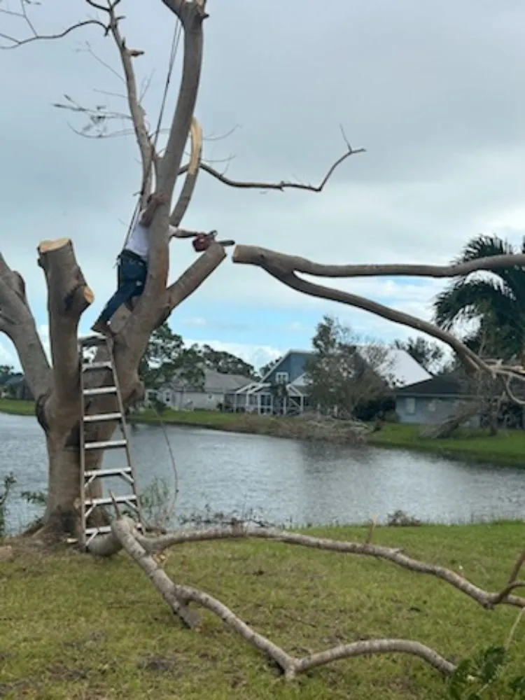 Custom yard maintenance in Port St. Lucie, FL by A Plus Lawns VB