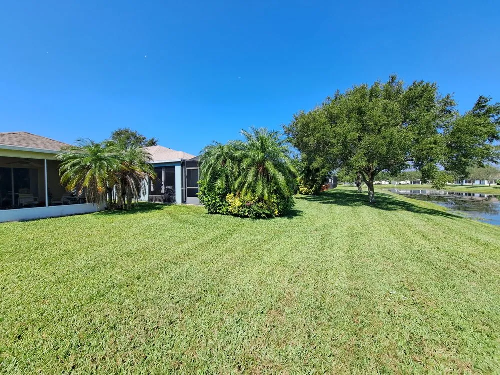 Top-rated yard cleanup service in Port St. Lucie, FL - A Plus Lawns VB