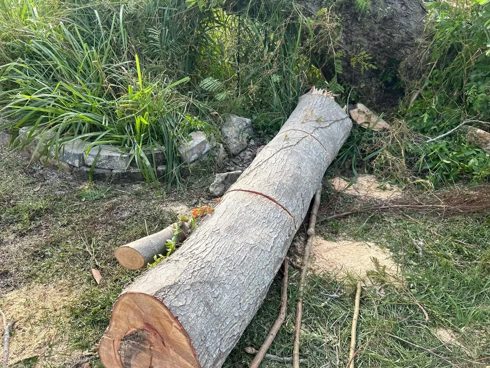 Custom yard maintenance with custom design in Port St. Lucie, FL by A Plus Lawns VB