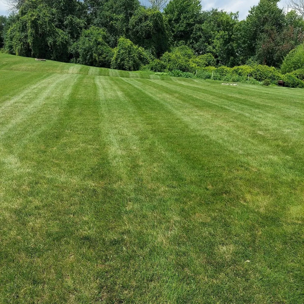 Reliable landscape installation in Newark, NY - A Plus Maintenance