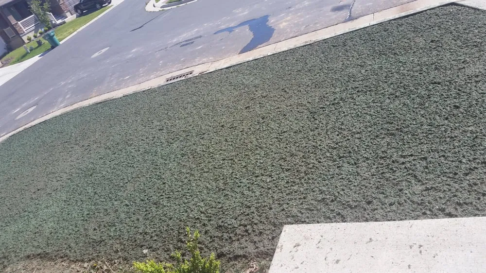 Reliable outdoor landscaping in Syracuse, UT - A-Plus Power and Hydroseeding